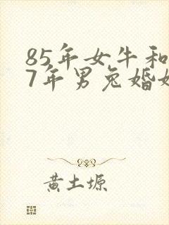 85年女牛和87年男兔婚姻相配吗