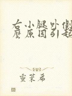 右小腿外侧痛什么原因引起的