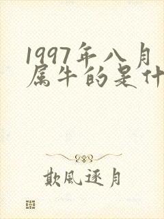 1997年八月属牛的是什么命