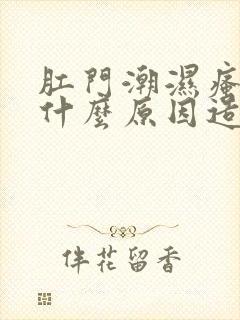 肛门潮湿瘙痒是什么原因造成的