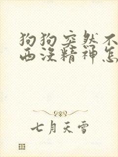 狗狗突然不吃东西没精神怎么办封面