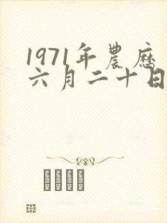 1971年农历六月二十日出生的命运
