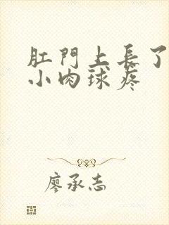 肛门上长了一个小肉球疼