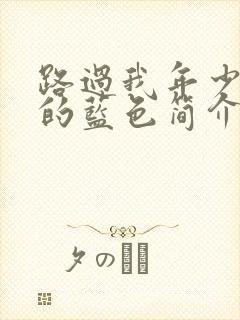 路过我年少时光的蓝色简介