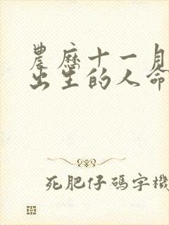 农历十一月十一出生的人命运封面