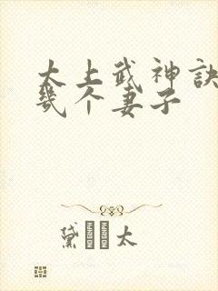 太上武神诀吴云几个妻子