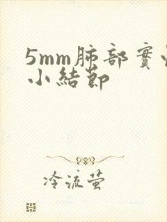 5mm肺部实性小结节