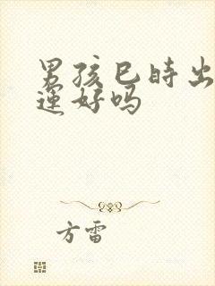 男孩巳时出生命运好吗