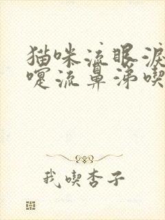 猫咪流眼泪打喷嚏流鼻涕吃什么药封面