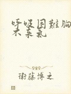 呼吸困难胸闷上不来气