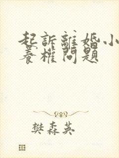 起诉离婚小孩抚养权问题