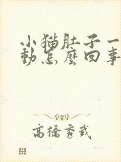 小猫肚子一直抖动怎么回事