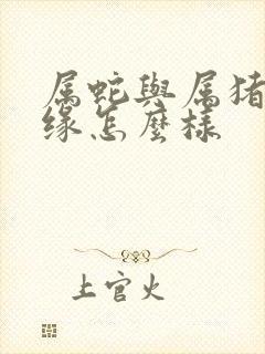 属蛇与属猪的姻缘怎么样封面