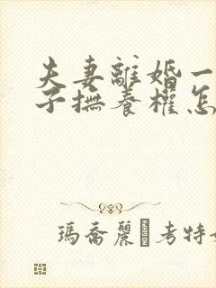 夫妻离婚一个孩子抚养权怎么判定