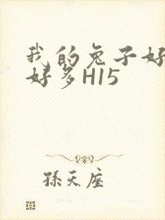 我的兔子好软水好多H15封面