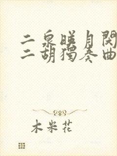 二泉映月闵惠芬二胡独奏曲封面