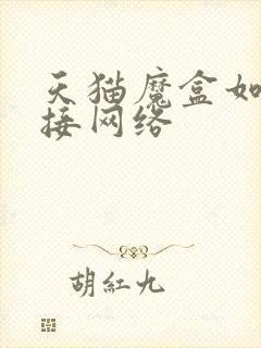 天猫魔盒如何连接网络封面