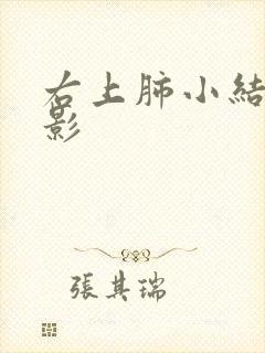 右上肺小结节样影封面