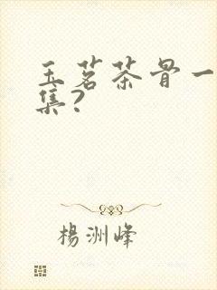 玉茗茶骨一共几集?