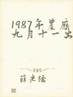 1987年农历九月十一出生的命运