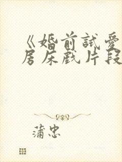 《婚前试爱》圆房床戏片段