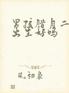 男孩腊月二十七出生好吗封面