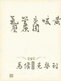 气管炎咳黄痰什么原因