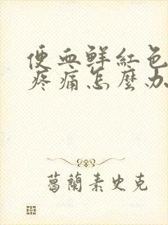 便血鲜红色肛门疼痛怎么办封面