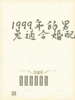 1999年的男兔适合婚配的属相