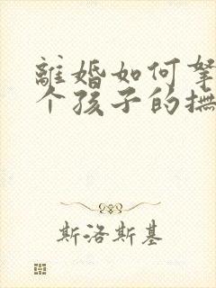 离婚如何拿到两个孩子的抚养权