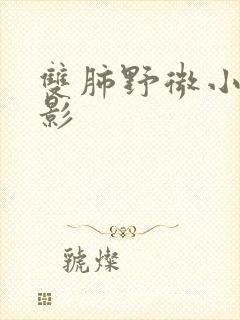 双肺野微小结节影