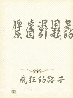 脾虚湿困是什么原因引起的