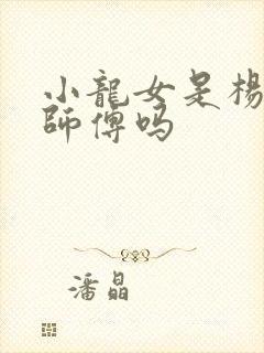 小龙女是杨过的师傅吗