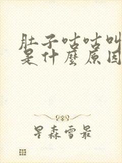 肚子咕咕叫拉水是什么原因封面