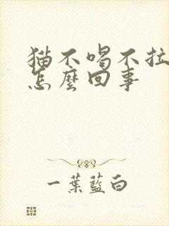 猫不喝不拉不尿怎么回事