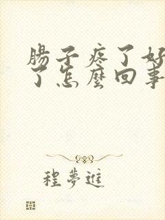 肠子疼了好几年了怎么回事封面