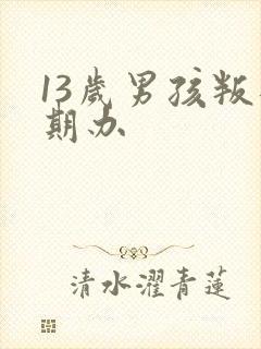 13岁男孩叛逆期办