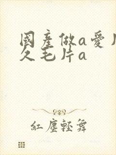 国产做a爱片久久毛片a封面