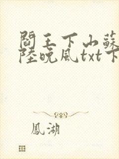 阎王下山苏文,陆晚风txt下载封面