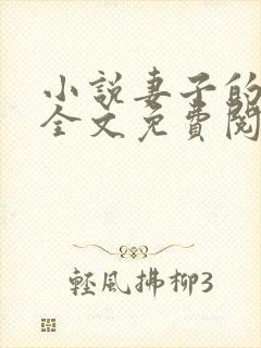 小说妻子的秘密全文免费阅读全文