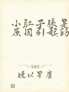 小肚子胀是什么原因引起的女性