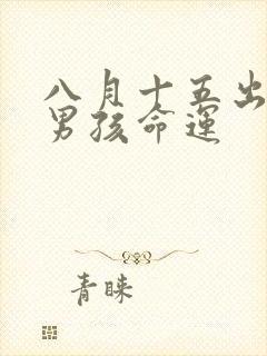 八月十五出生的男孩命运封面