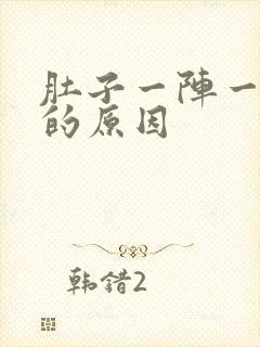 肚子一阵一阵痛的原因