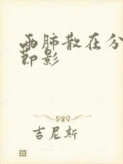 两肺散在分布结节影