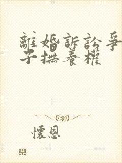 离婚诉讼争夺孩子抚养权