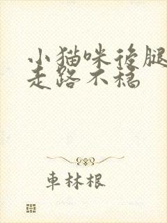 小猫咪后腿无力走路不稳