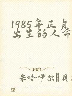 1985年正月出生的人命运封面