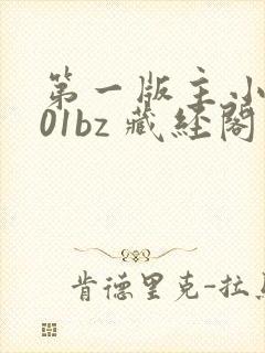 第一版主小说网01bz 藏经阁封面