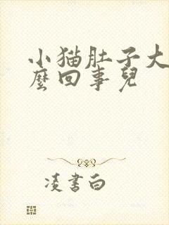 小猫肚子大是怎么回事儿