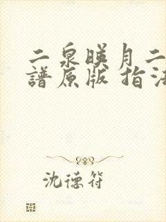 二泉映月二胡简谱原版 指法